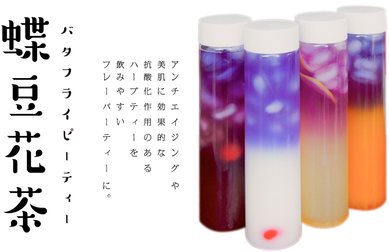 蝶豆花茶 バタフライピーティー